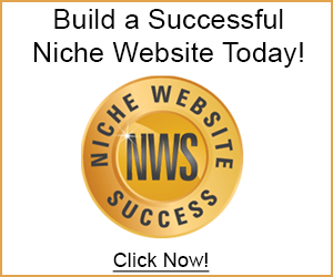 Niche Website Success